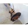 Recambio de puente trasero para suzuki jimny sn (fj) 1.3 16v cat referencia OEM IAM   