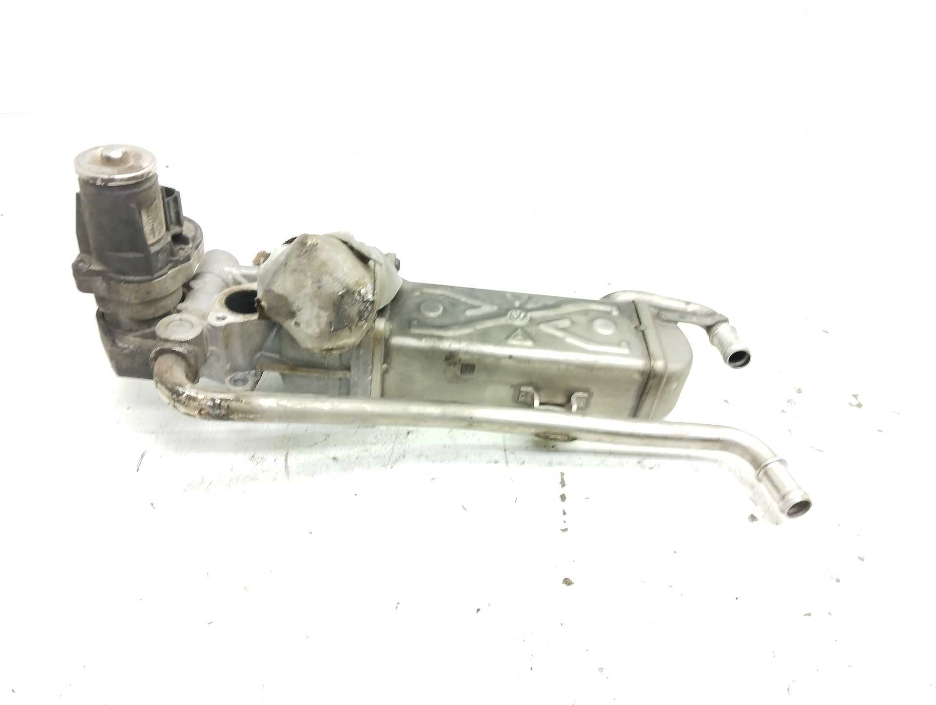 Recambio de enfriador de gases para audi a3 (8p) 1.6 tdi ambiente referencia OEM IAM 03L131512CE  