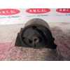 Recambio de soporte motor delantero para nissan almera (n16/e) 1.5 16v cat referencia OEM IAM   OFERTA