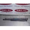 Recambio de amortiguadores maletero / porton para citroën evasion 2.0 x referencia OEM IAM   