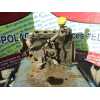 Recambio de bloque para renault laguna ii (bg0) 1.9 dci diesel cat referencia OEM IAM   
