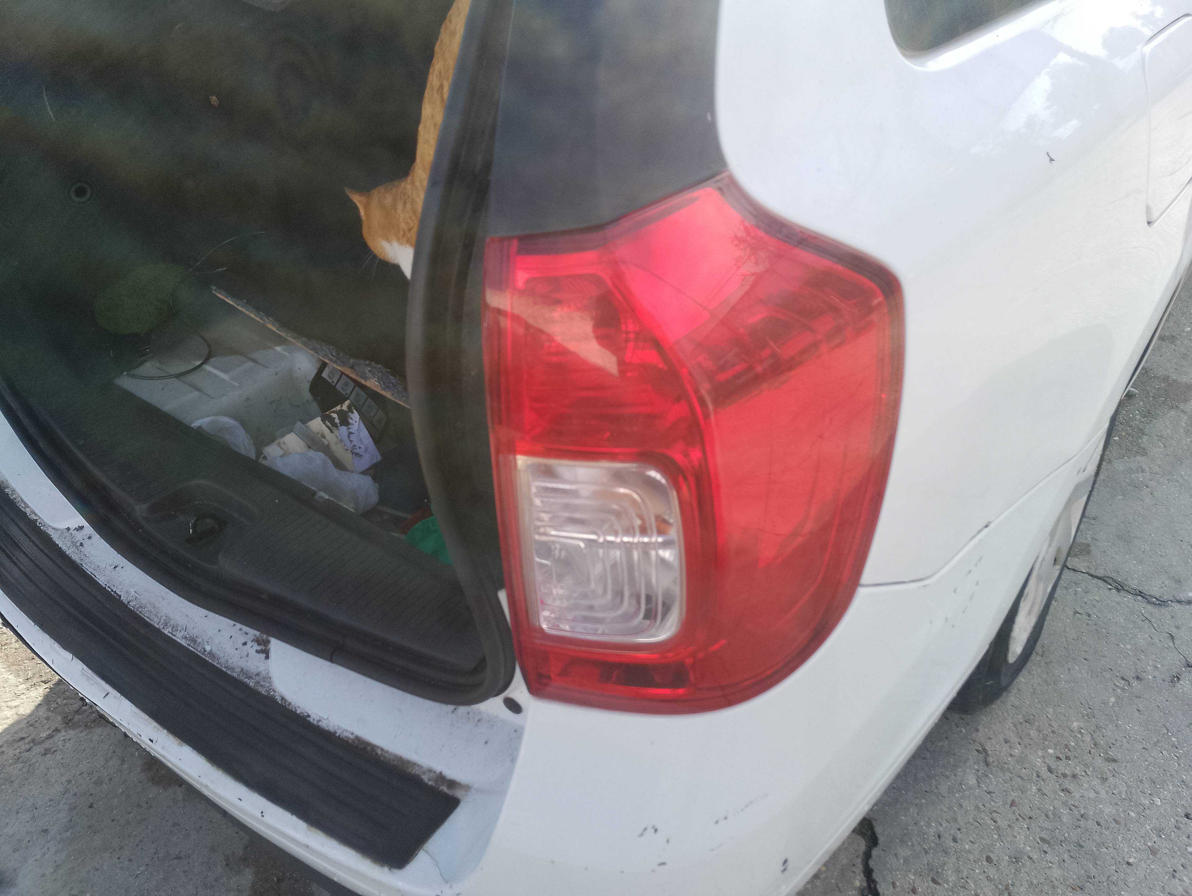 Recambio de piloto trasero derecho para dacia logan mcv ii laureate referencia OEM IAM 265502081R  