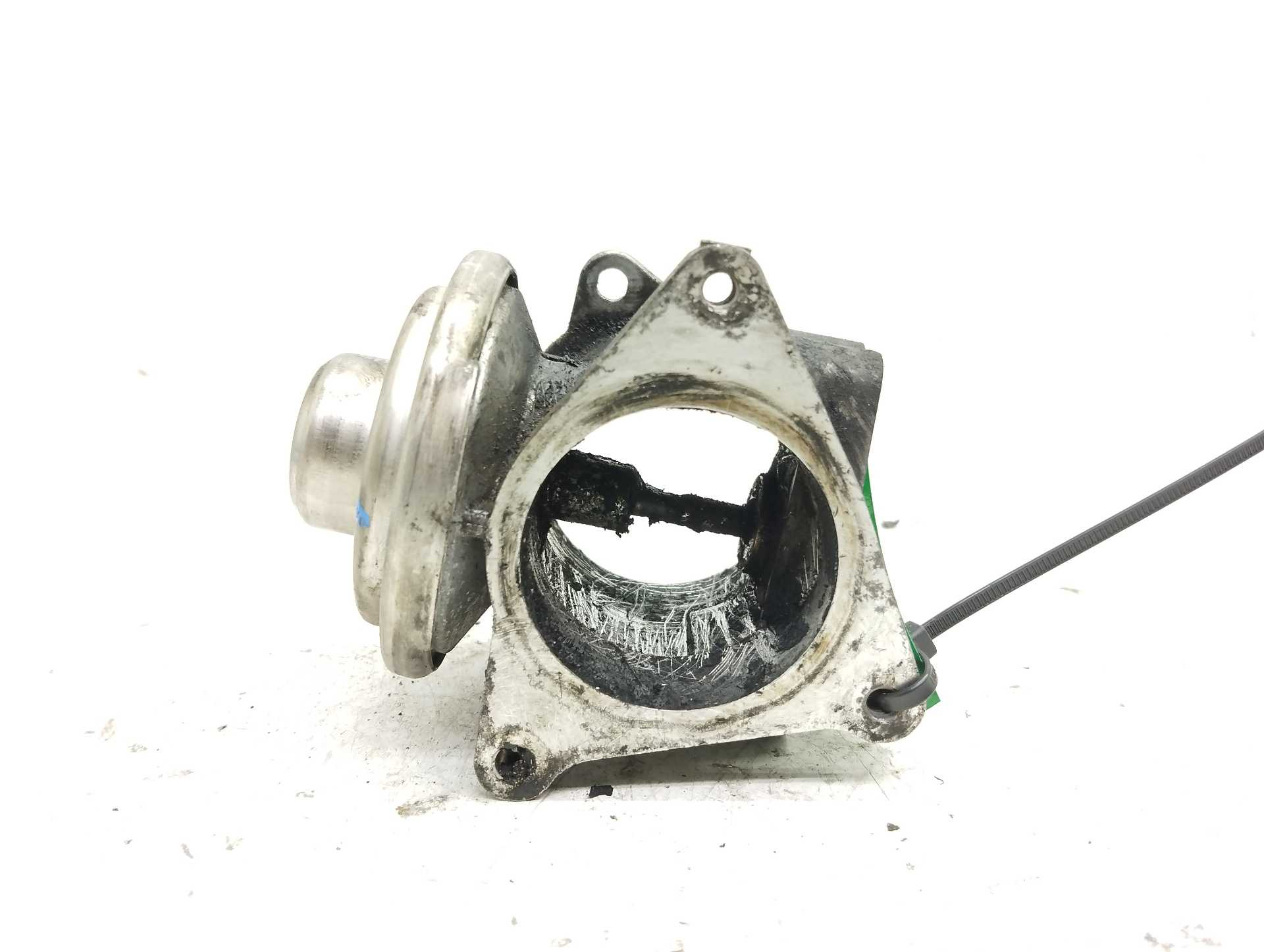 Recambio de valvula egr para seat ibiza (6l1) cool referencia OEM IAM 038131501AF 038129631D 