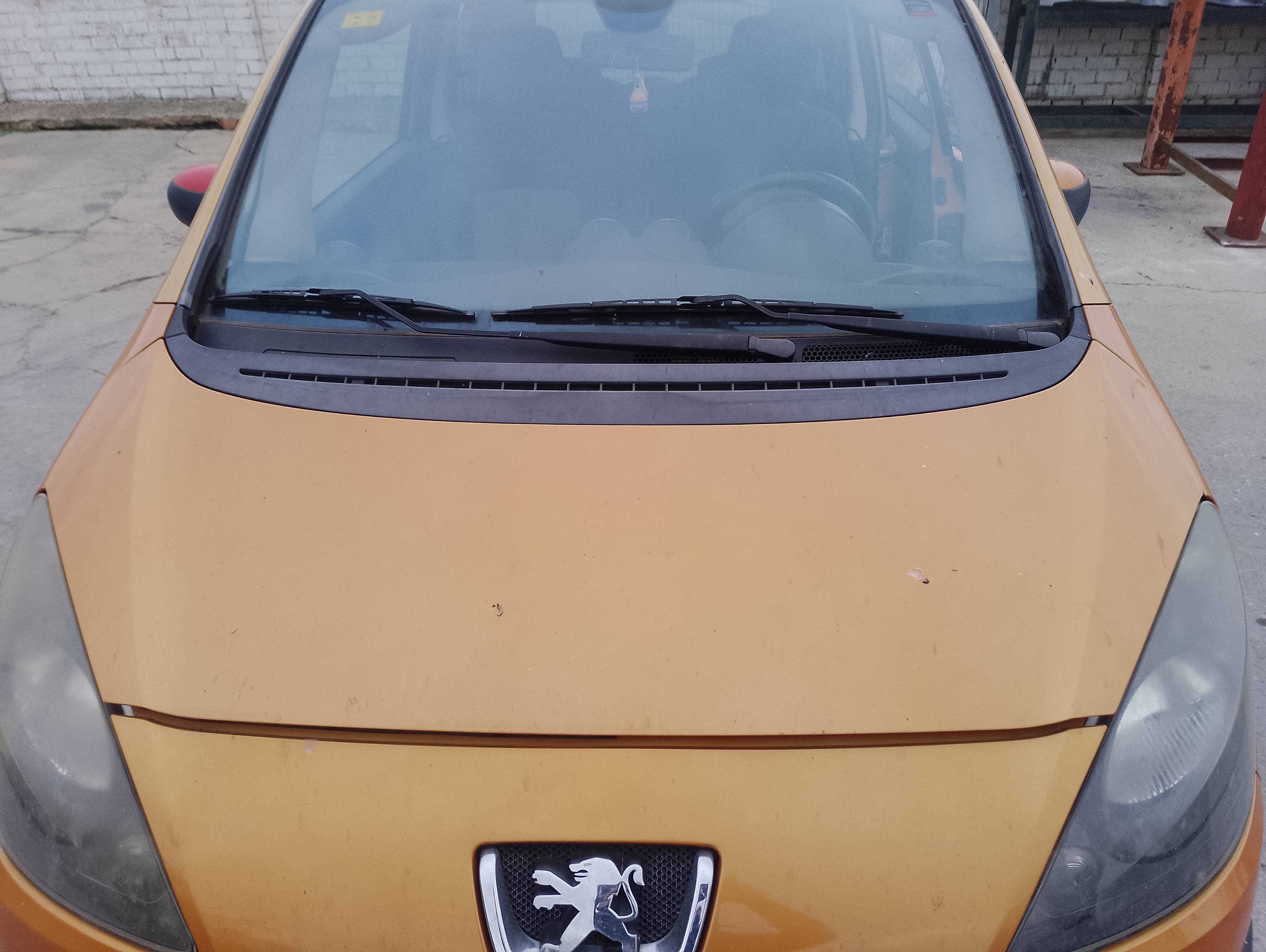 Recambio de capo para peugeot 1007 dolce referencia OEM IAM   