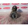 Recambio de motores de arranque para seat terra 1.4 diesel (1w) referencia OEM IAM 9000141101  