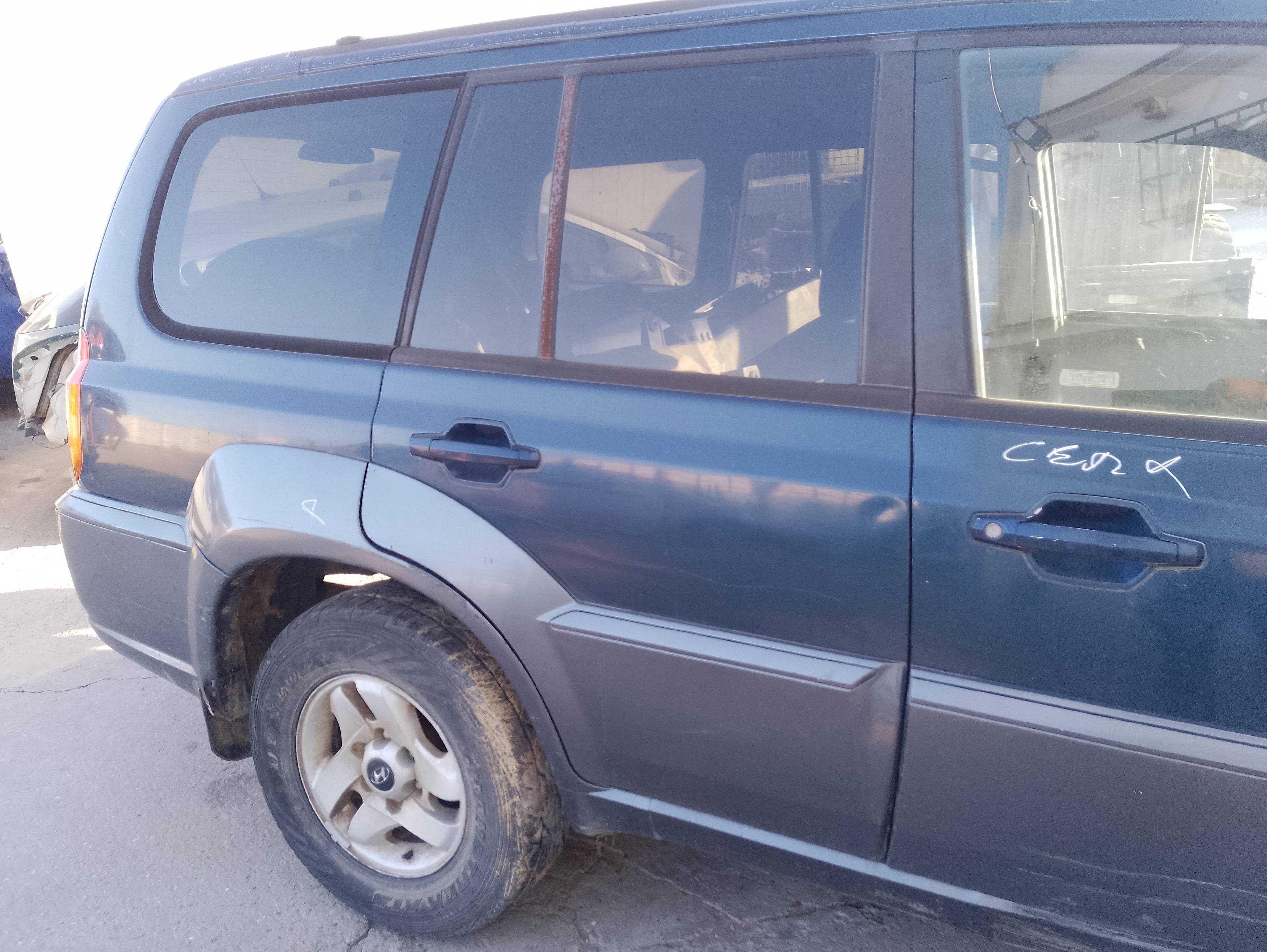 Recambio de puerta trasera derecha para hyundai terracan (hp) 2.9 crdi full referencia OEM IAM   