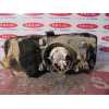 Recambio de faro izquierdo para land rover freelander (ln) 2.0 turbodiesel referencia OEM IAM AMR4000  
