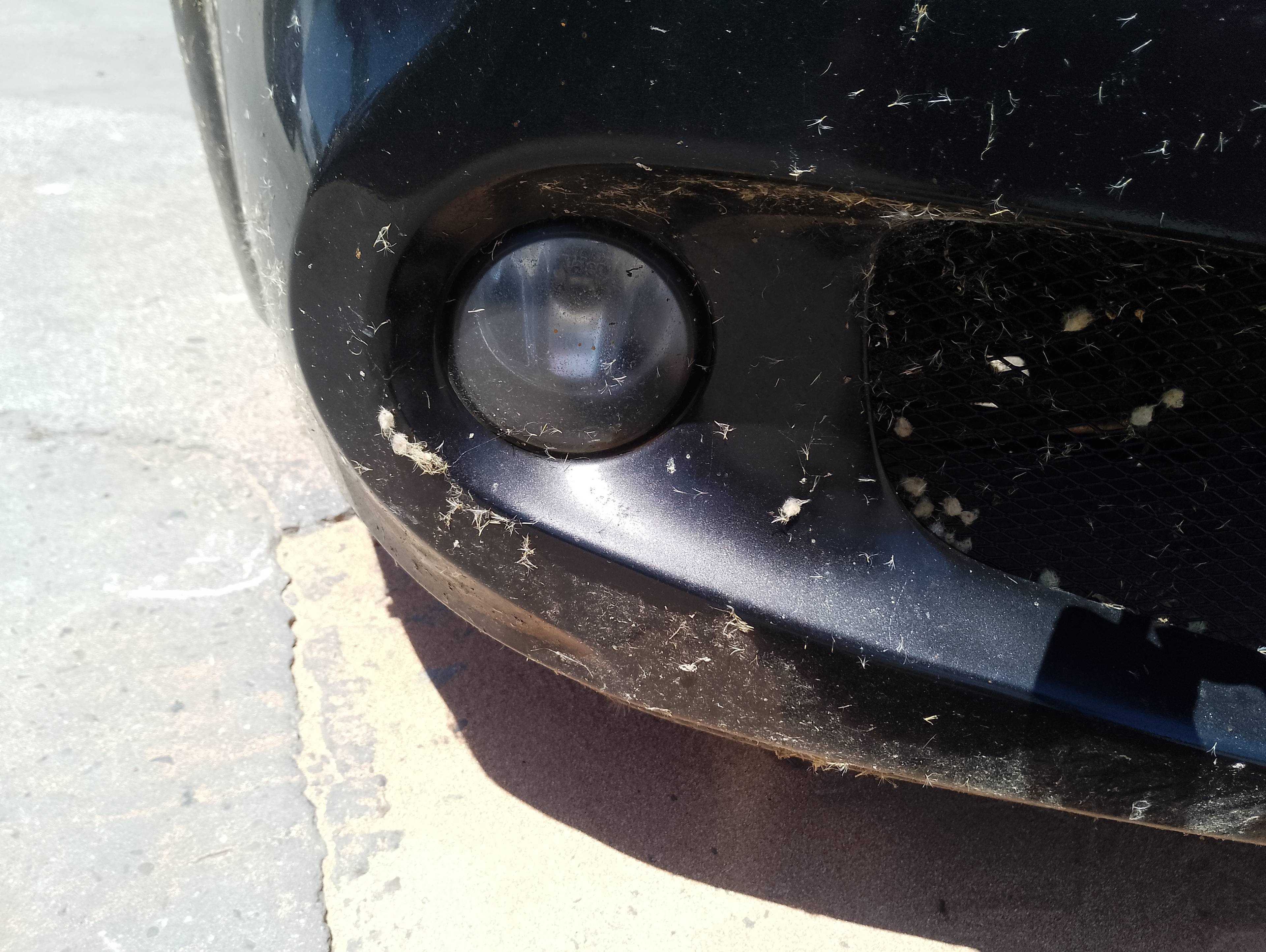 Recambio de faro antiniebla derecho para renault megane ii berlina 3p confort dynamique referencia OEM IAM   