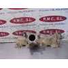 Recambio de colector escape para nissan pathfinder (r51) 2.5 dci xe referencia OEM IAM   