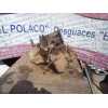 Recambio de caja cambios para peugeot 306 berlina 3/4/5 puertas (s2) 1.9 diesel referencia OEM IAM 20TD  