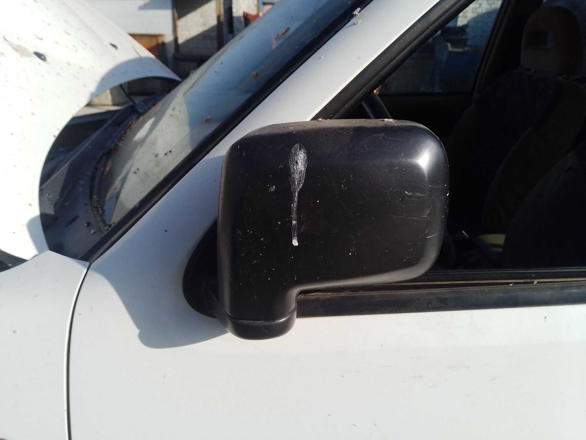 Recambio de retrovisor izquierdo para nissan terrano ii (r20) 2.7 tdi 4wd referencia OEM IAM   