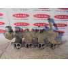 Recambio de colector admision para nissan pick-up (d22) 2.5 16v turbodiesel cat referencia OEM IAM   