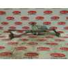 Recambio de motor limpia delantero para bmw serie 3 berlina (e46) 320d referencia OEM IAM 0390241712  