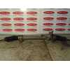 Recambio de cremallera direccion para seat ibiza (6k) 1.4 referencia OEM IAM 357419105  