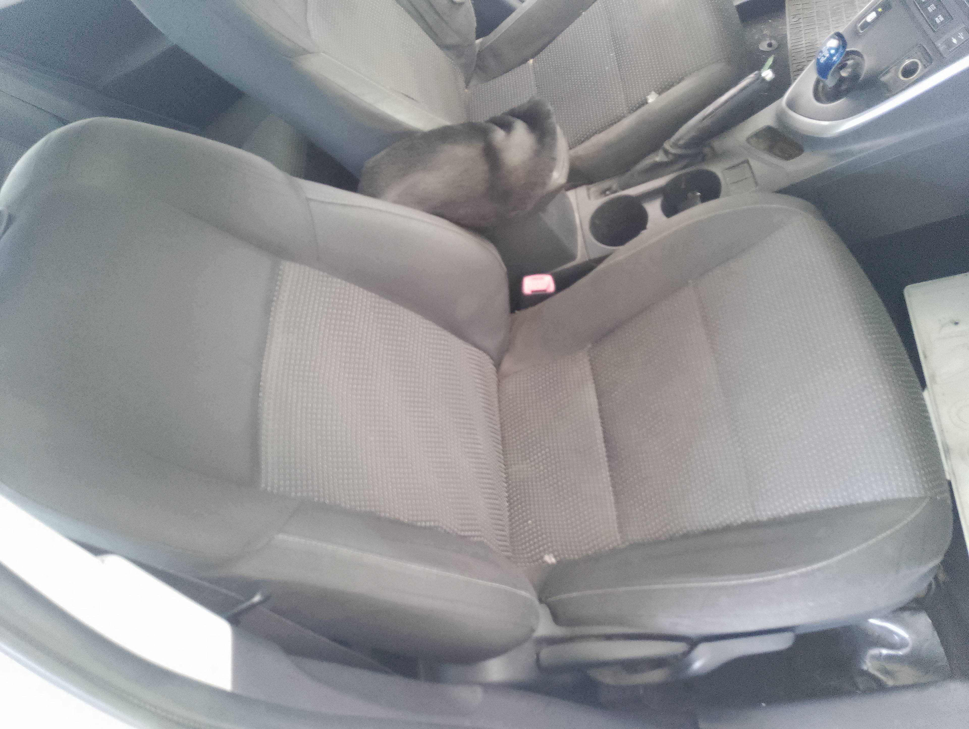 Recambio de asiento delantero derecho para toyota auris hybrid active referencia OEM IAM   