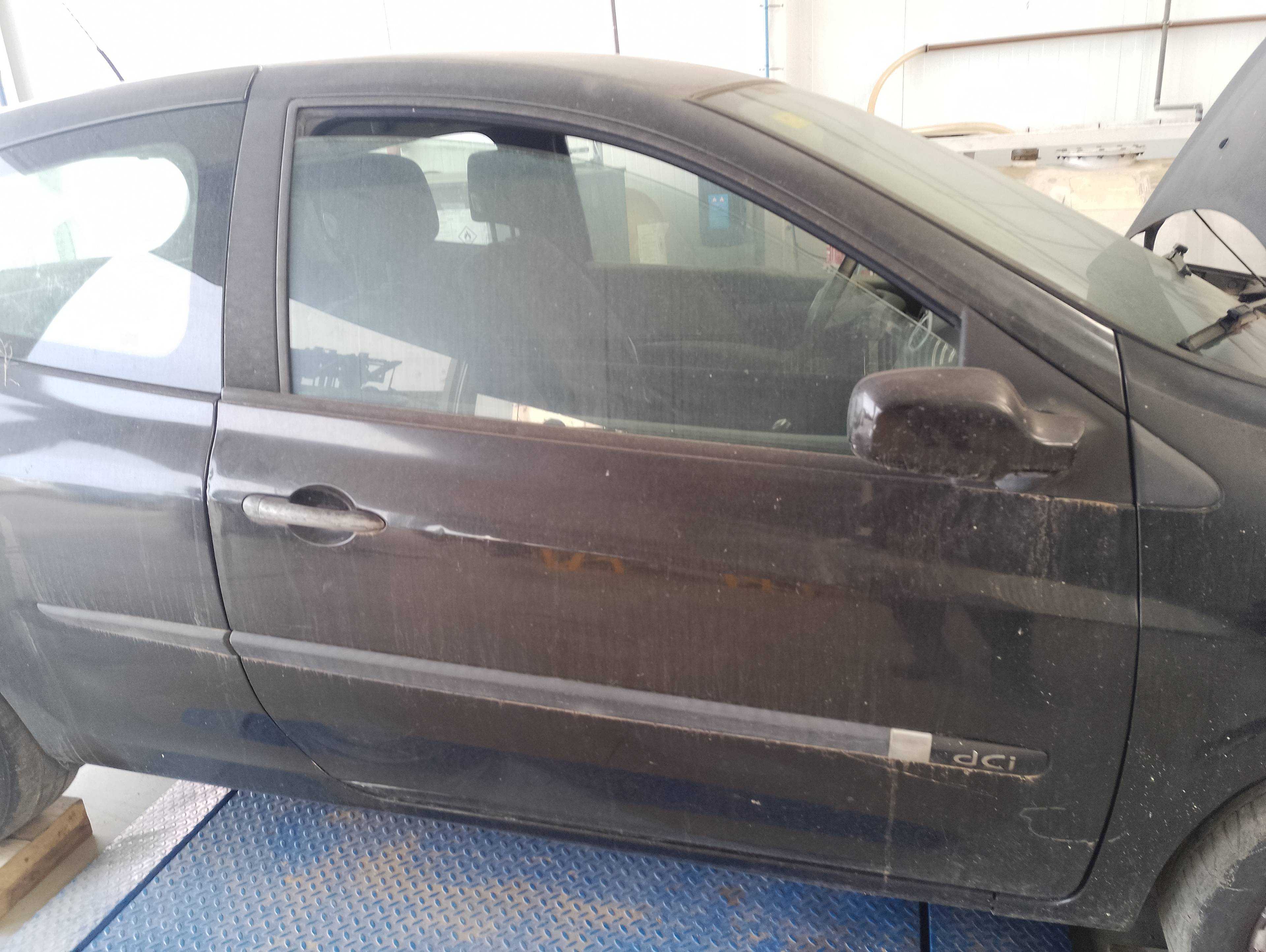 Recambio de puerta delantera derecha para renault clio iii referencia OEM IAM   