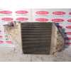 Recambio de intercooler para renault clio ii fase ii (b/cb0) 1.5 dci diesel referencia OEM IAM   