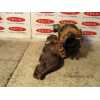 Recambio de turbocompresor para ssangyong korando 2.9 turbodiesel cat referencia OEM IAM 531610150  