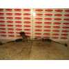 Recambio de cremallera direccion para seat ibiza (6j5) 1.4 tdi referencia OEM IAM 6T1423051Q  