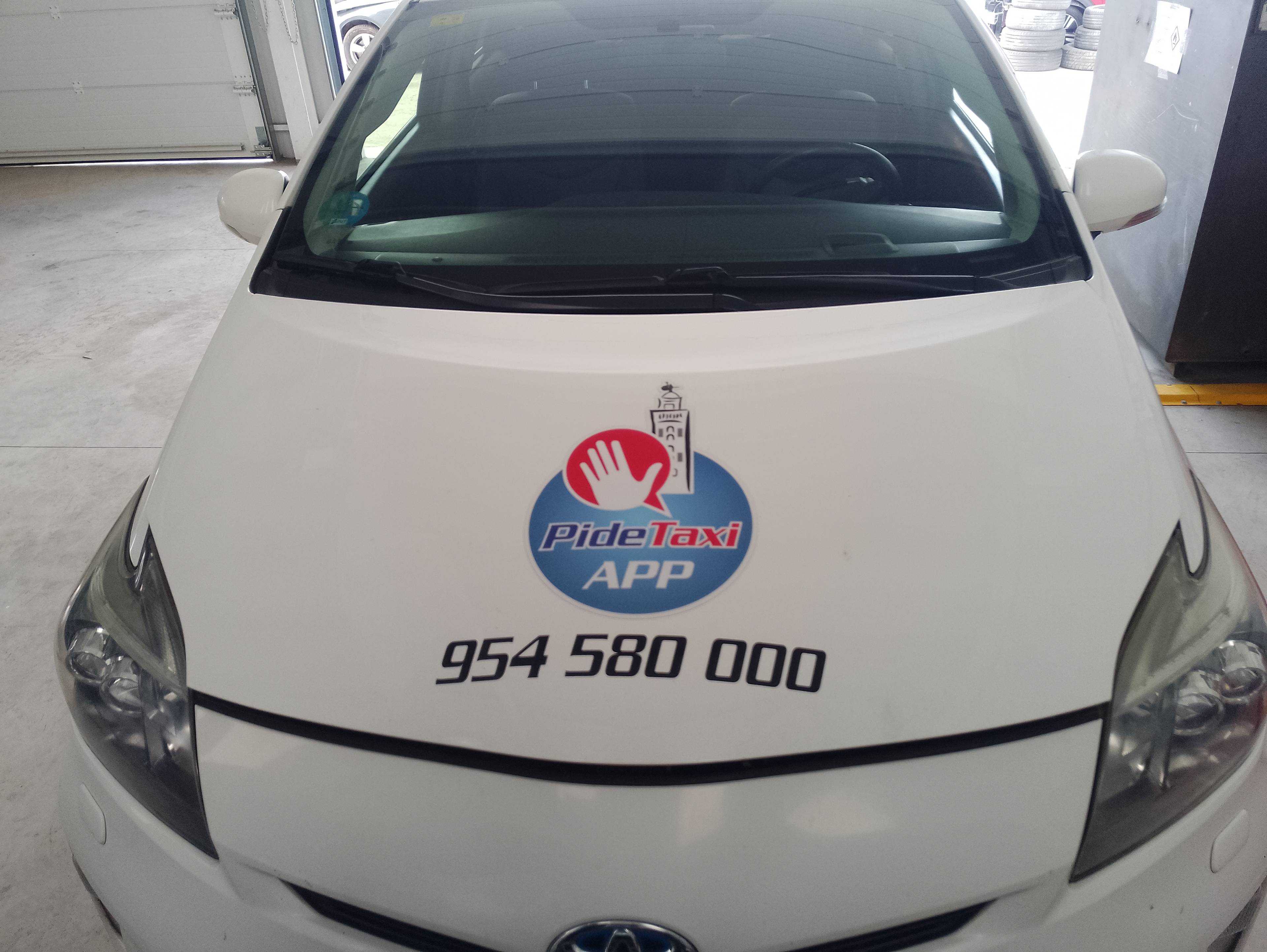Recambio de capo para toyota prius (nhw30) plug-in hybrid advance referencia OEM IAM   