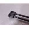 Recambio de amortiguadores maletero / porton para peugeot 307 berlina (s2) referencia OEM IAM   