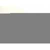 Recambio de retrovisor derecho para renault scenic ii authentique referencia OEM IAM E90111261127  