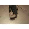 Recambio de cerradura puerta delantera izquierda para alfa romeo 147 (190) 1.6 16v cat referencia OEM IAM 0046800416  