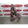 Recambio de colector escape para renault scenic iii 2.0 16v referencia OEM IAM   