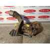 Recambio de turbocompresor para renault kangoo (f/kc0) 1.9 dci diesel cat referencia OEM IAM 107826H109779  