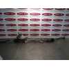 Recambio de cremallera direccion para renault scenic iii 2.0 16v referencia OEM IAM 490010024R  