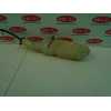 Recambio de deposito expansion para toyota corolla (e12) 1.4 16v cat referencia OEM IAM   