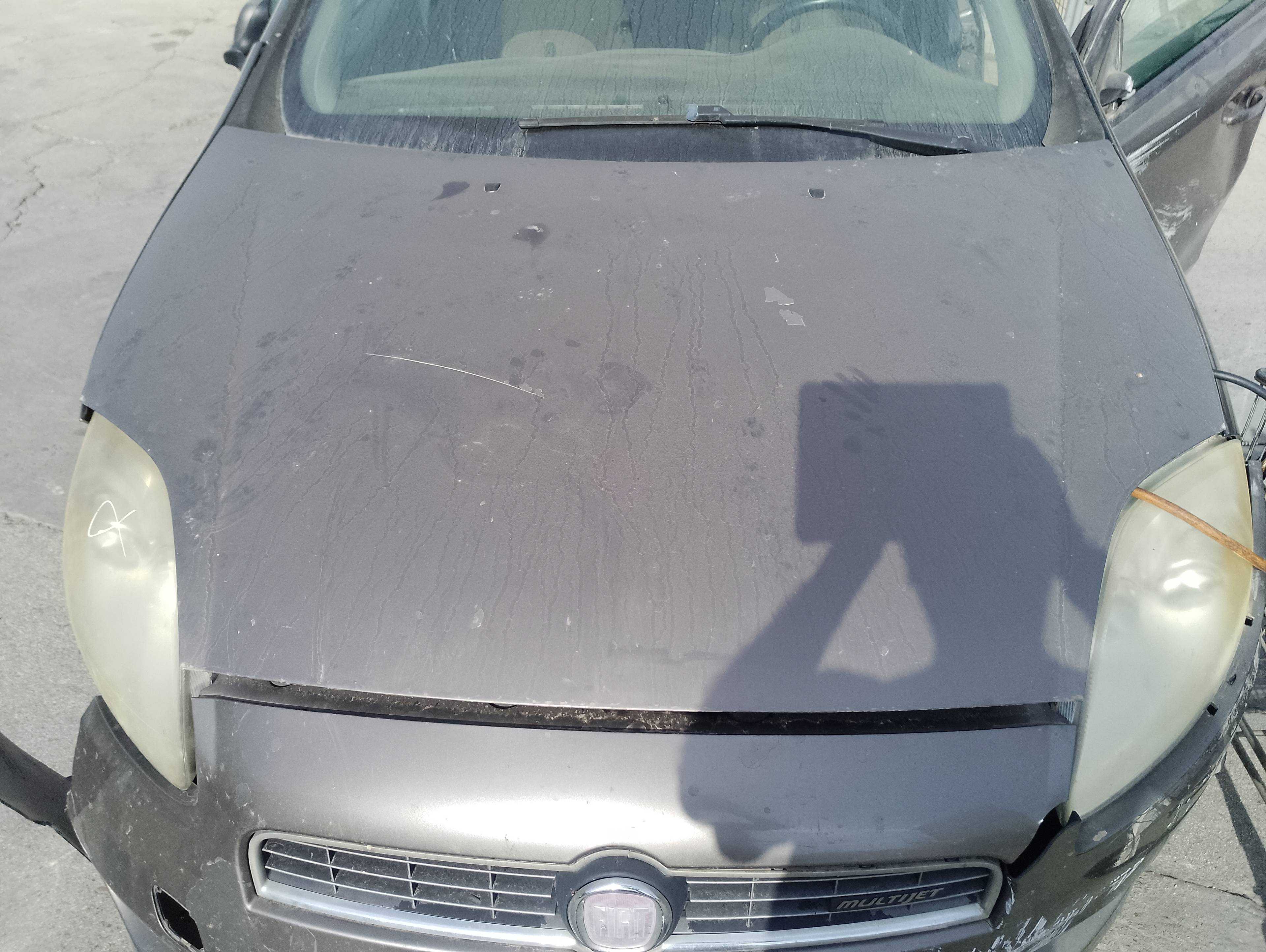 Recambio de capo para fiat bravo (198) 1.9 active multijet referencia OEM IAM   