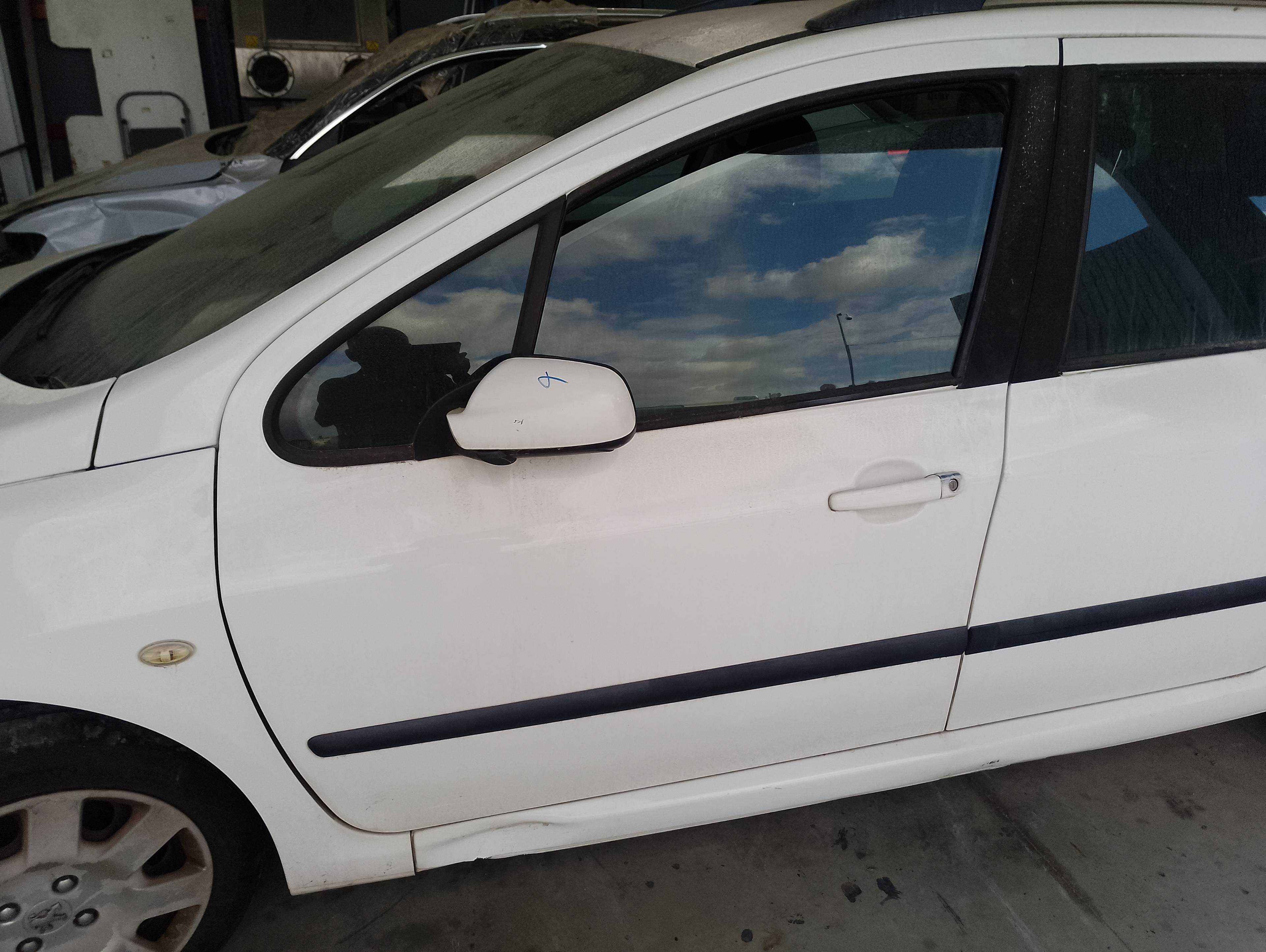 Recambio de puerta delantera izquierda para peugeot 307 break/sw (s2) x-line referencia OEM IAM   
