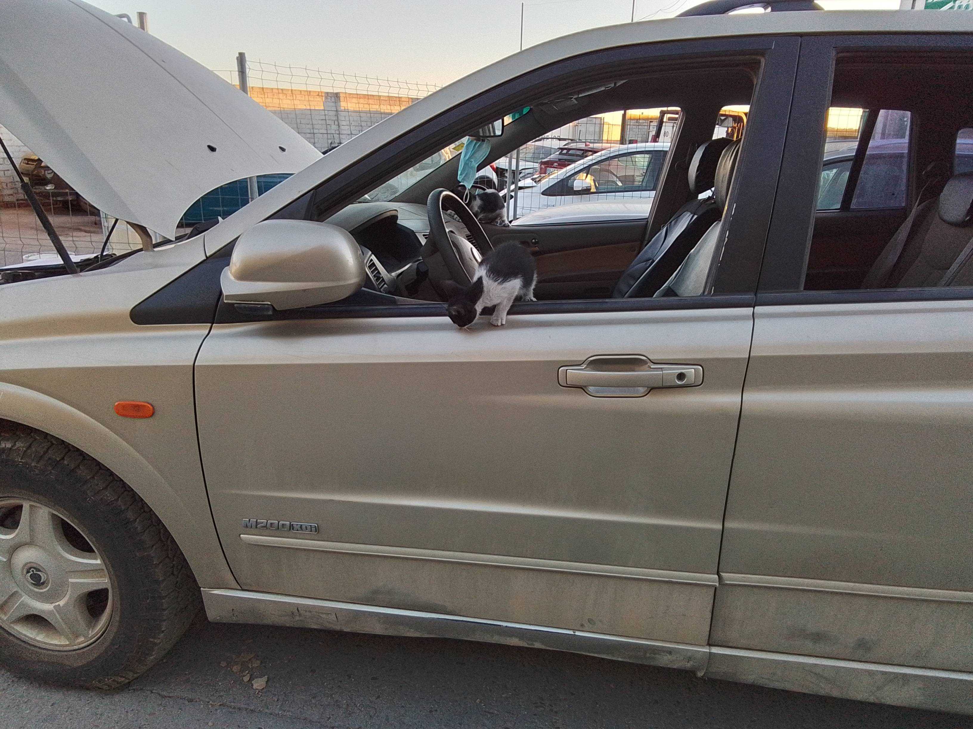 Recambio de puerta delantera izquierda para ssangyong kyron 2.0 referencia OEM IAM   