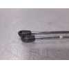 Recambio de amortiguadores maletero / porton para ford escort berlina bravo referencia OEM IAM   