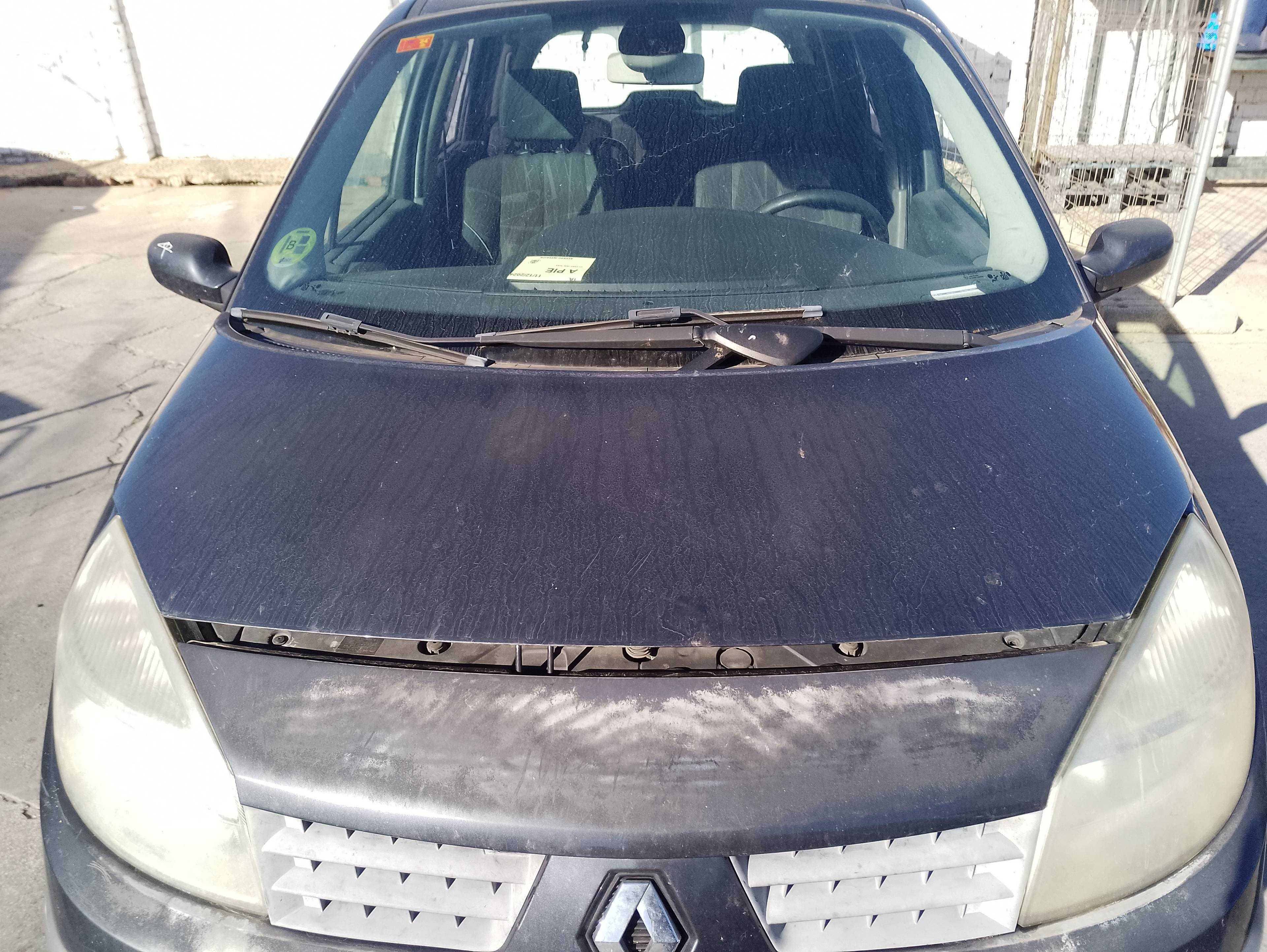 Recambio de capo para renault scenic ii authentique referencia OEM IAM   