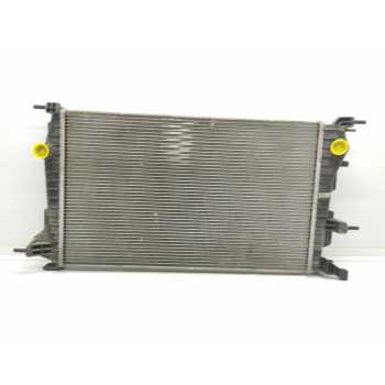 RADIADOR AGUA 214100068R 