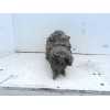 Recambio de caja cambios para seat exeo st (3r5)(2009>) reference referencia OEM IAM MPA  