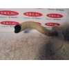 Recambio de tubo escape trasero para peugeot expert kombi 1.9 diesel referencia OEM IAM   