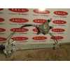 Recambio de elevalunas delantero izquierdo para nissan juke (f15) 1.5 turbodiesel cat referencia OEM IAM   
