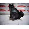 Recambio de faro antiniebla derecho para ford fiesta (cbk) 1.4 tdci cat referencia OEM IAM 89202182  