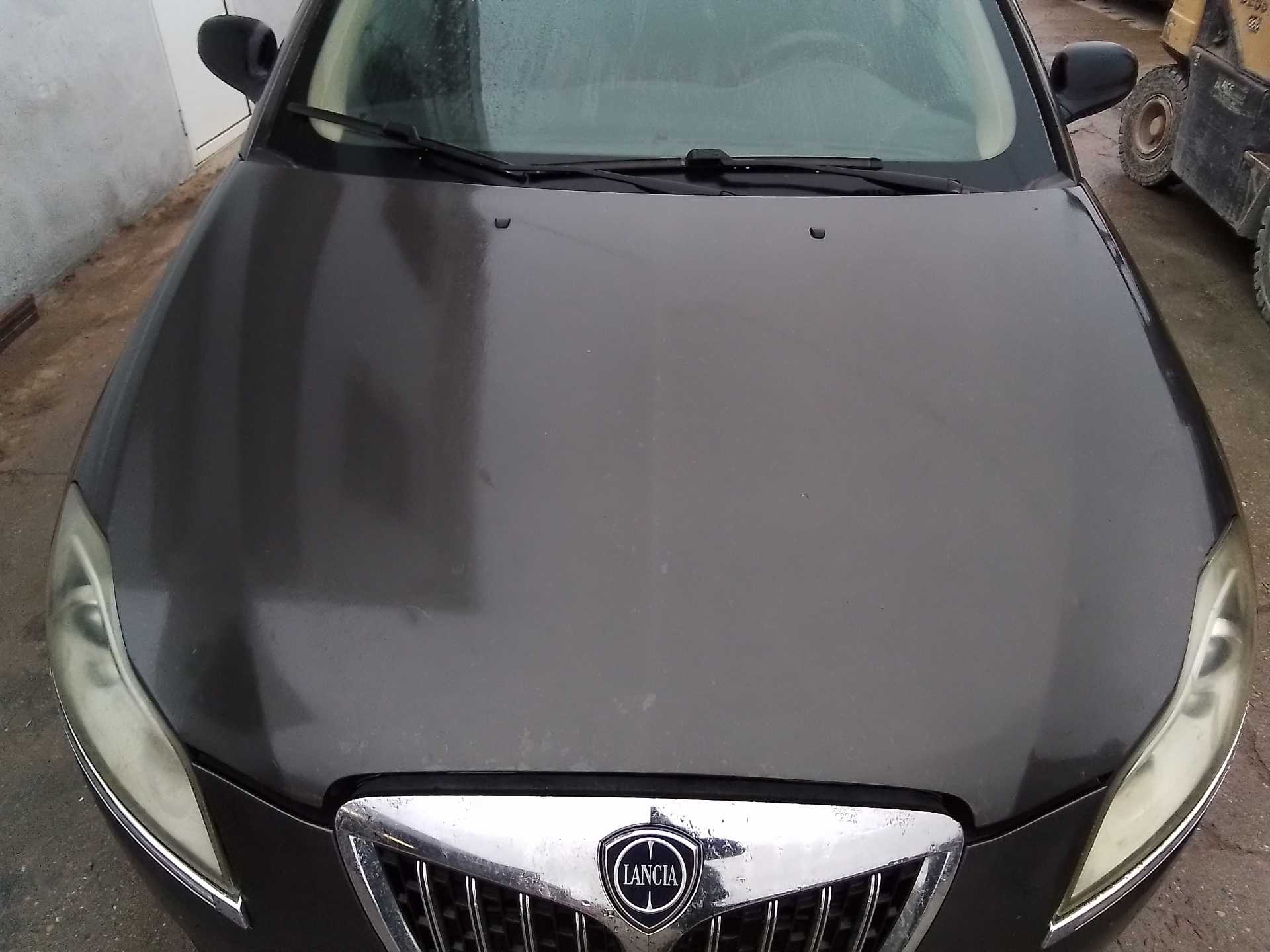 Recambio de capo para lancia delta (181) argento referencia OEM IAM   