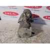 Recambio de motores de arranque para ford fiesta berlina 1.25 16v cat referencia OEM IAM YS4U11000AB  