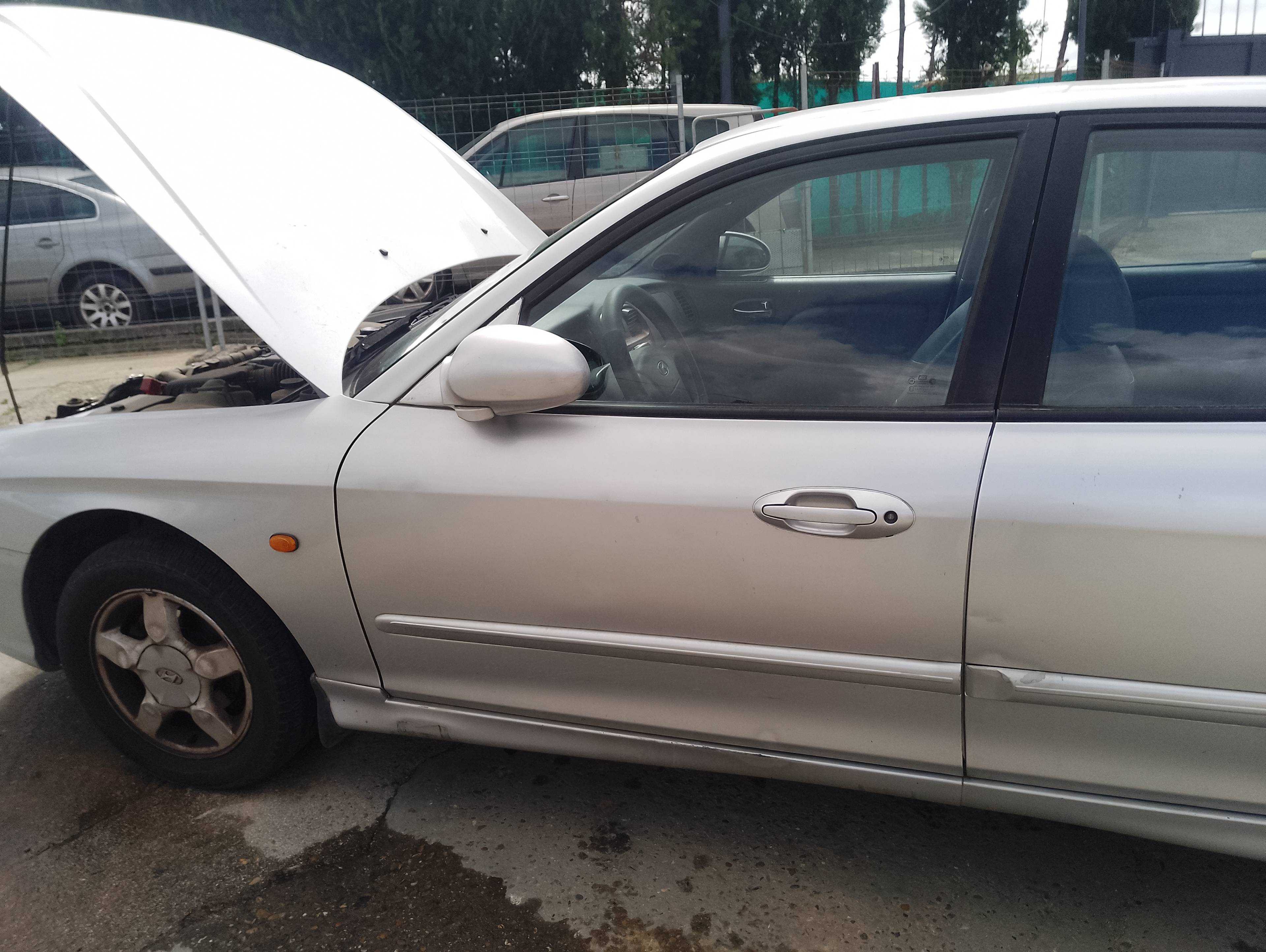 Recambio de puerta delantera izquierda para hyundai sonata (y4) 2.0i 16v gls referencia OEM IAM   