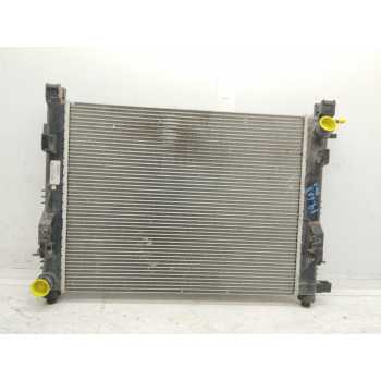 RADIADOR AGUA 214100078R 