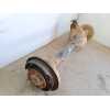 Recambio de puente trasero para nissan patrol (k/w160) familiar (w160) referencia OEM IAM   