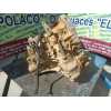 Recambio de caja cambios para nissan almera tino (v10m) 2.2 dci diesel cat referencia OEM IAM 7701717775  