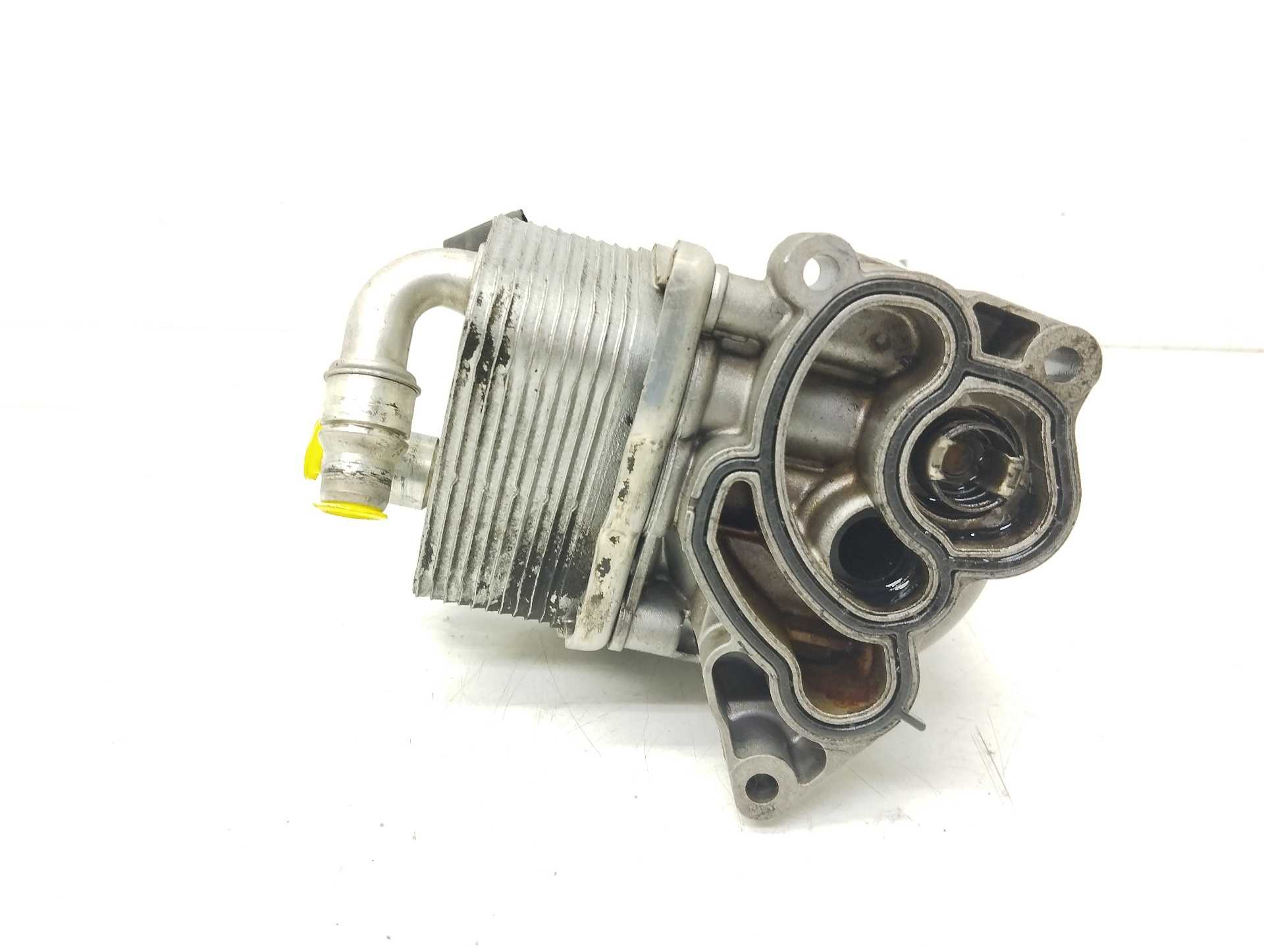 Recambio de enfriador aceite motor para bmw serie 3 berlina (e46) 318i referencia OEM IAM 7505203  