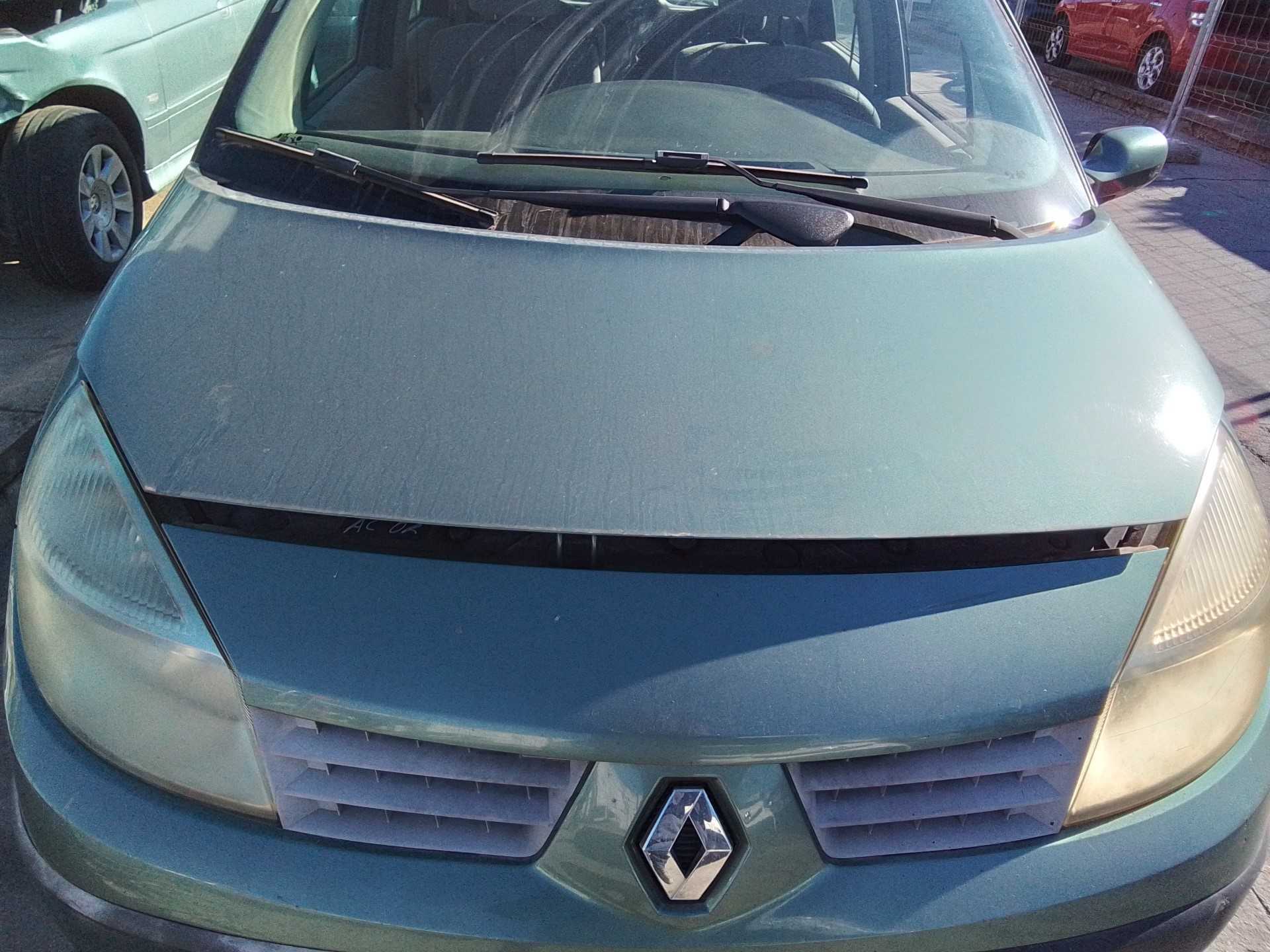 Recambio de capo para renault scenic ii authentique referencia OEM IAM   