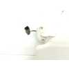 Recambio de parasol derecho para ford grand c-max 1.6 ecoboost cat referencia OEM IAM   